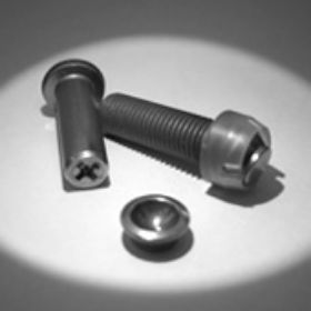 Photo:Pad and Screw for engines