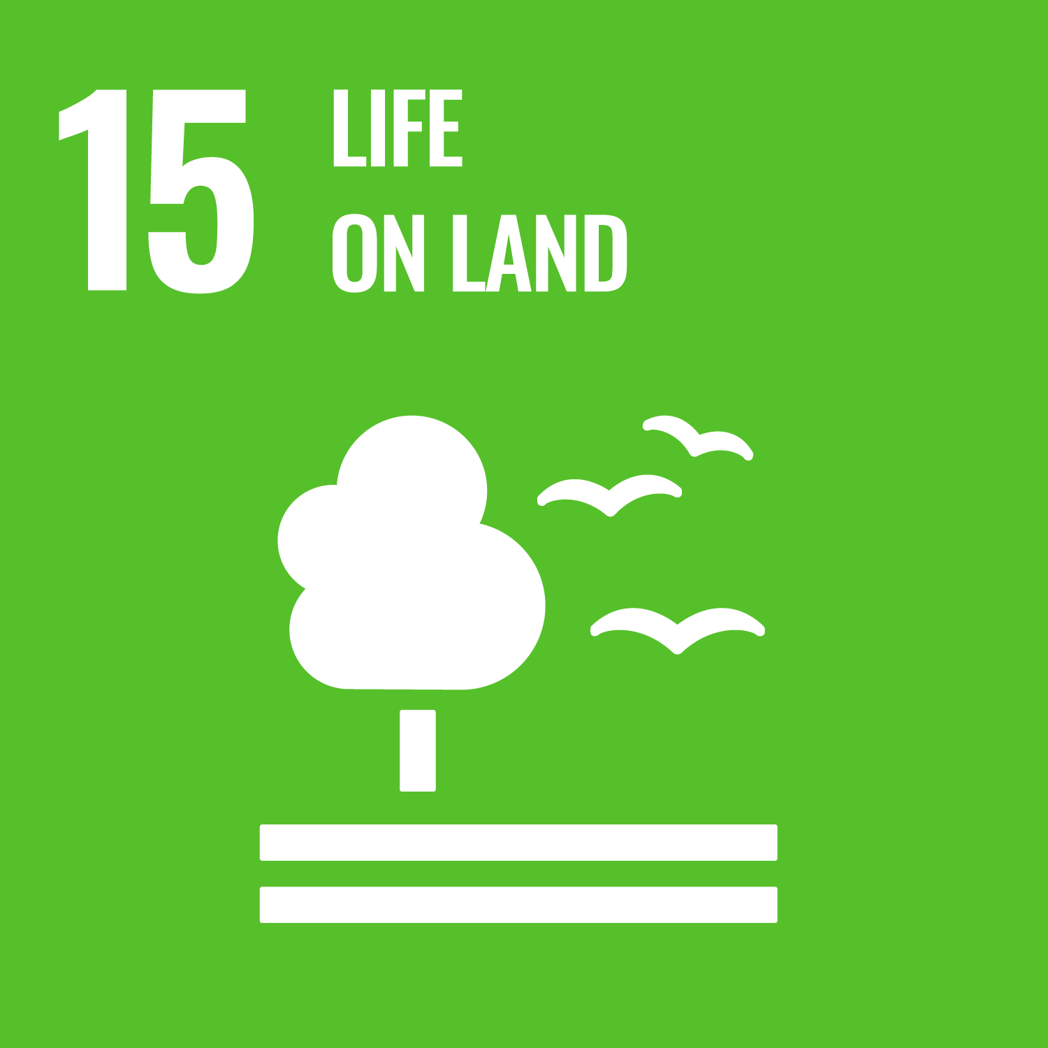 15. Let's also protect the abundance of land.